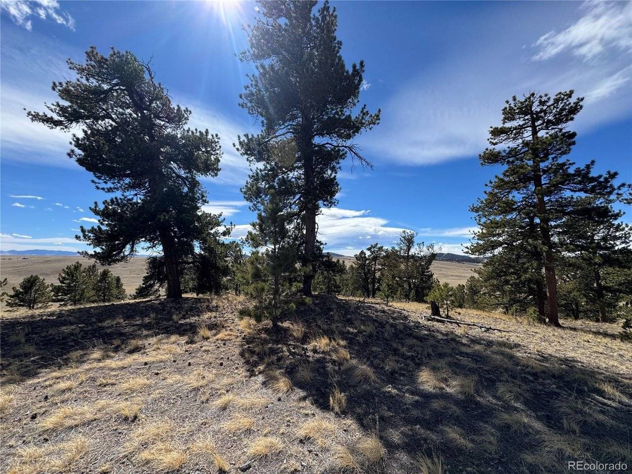 62 Powder, Jefferson, CO 80456