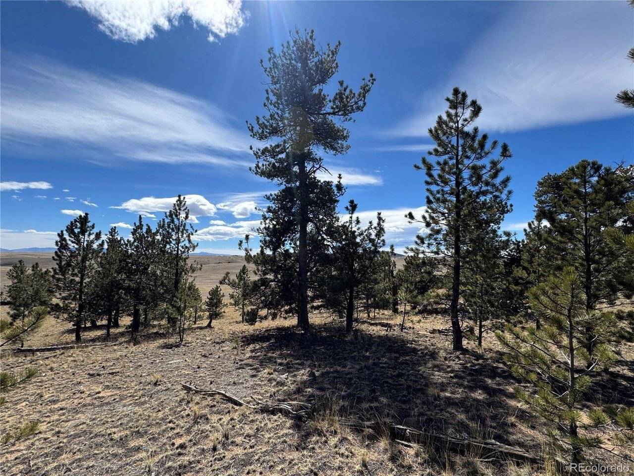 62 Powder, Jefferson, CO 80456