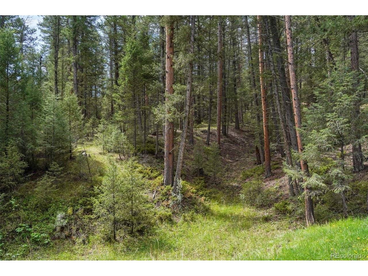 1424 High, Sedalia, CO 80135