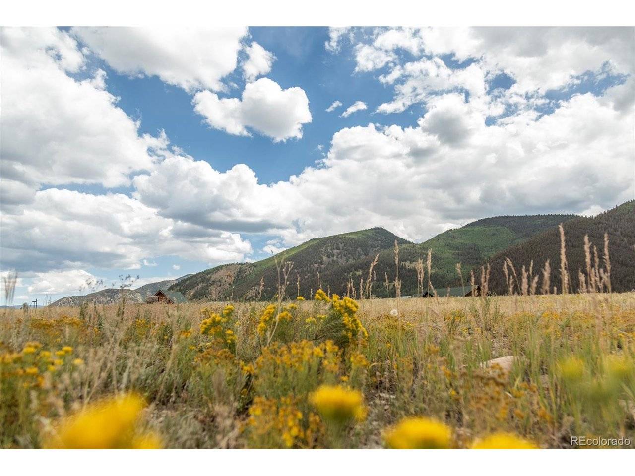 207 Sunset, Creede, CO 81130