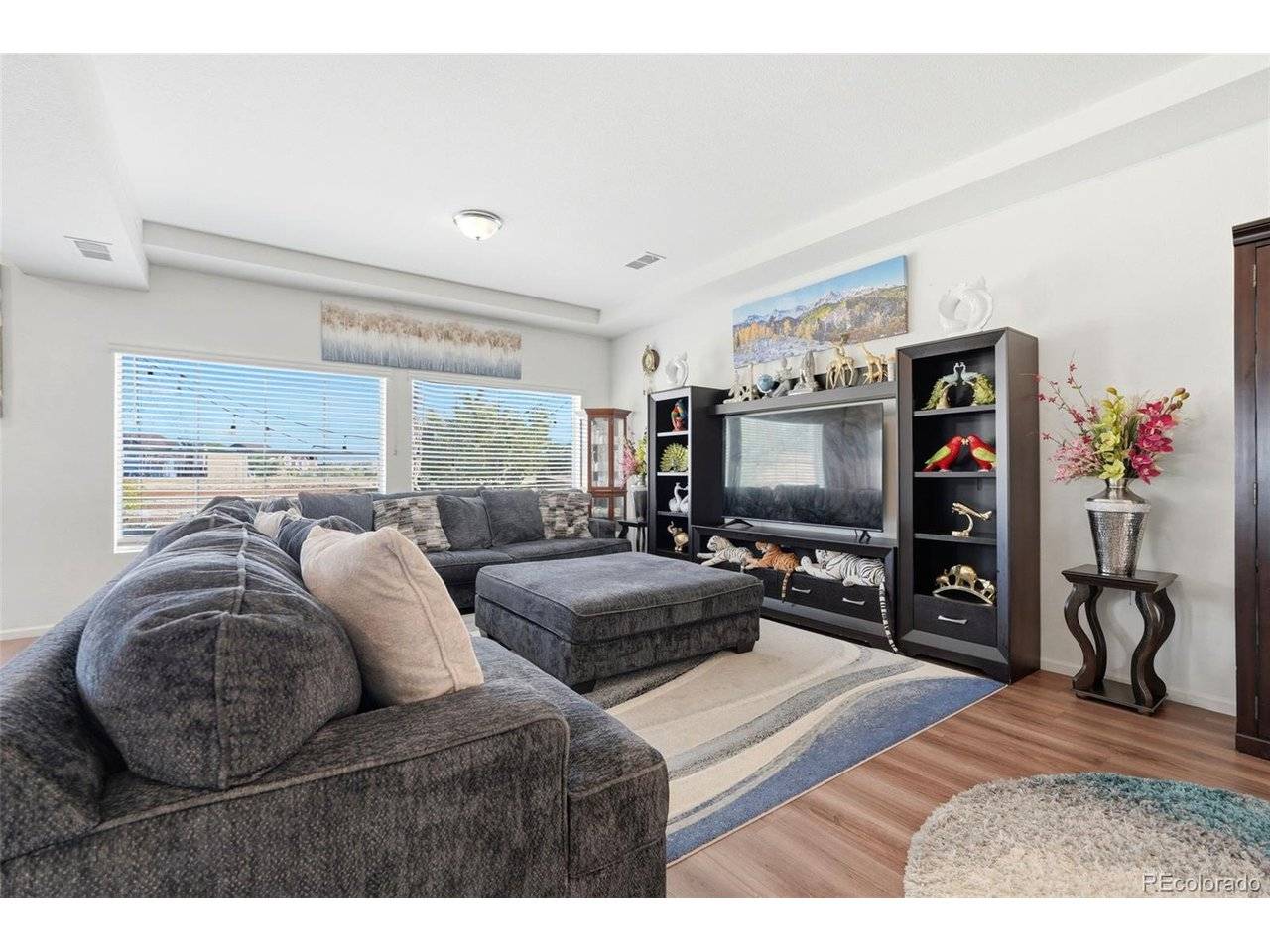 17576 E 103rd, Commerce City, CO 80022