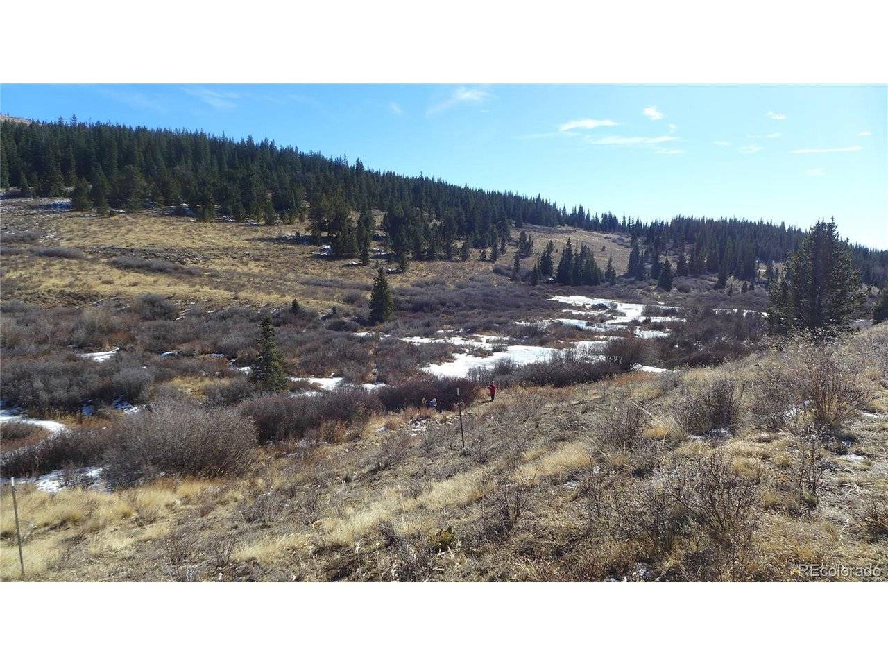 0 Snow Cap Peaks, Alma, CO 80402