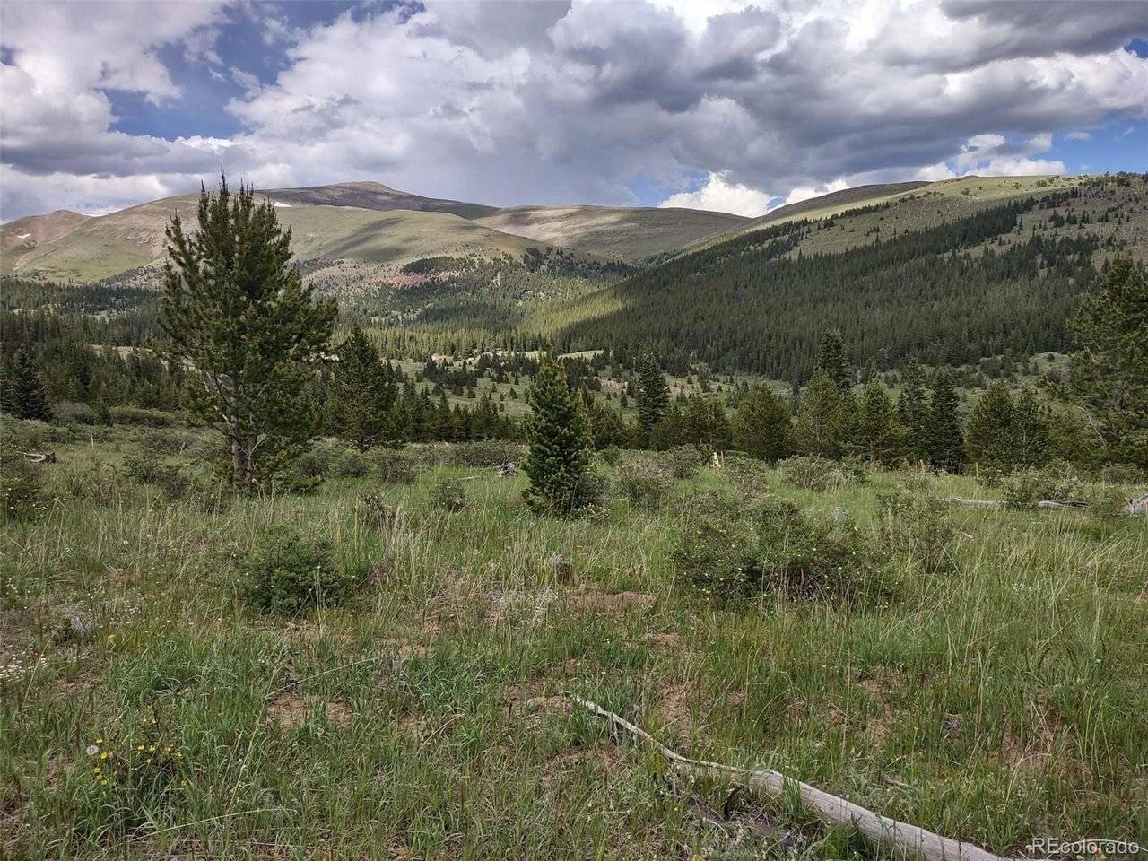 0 Snow Cap Peaks, Alma, CO 80402