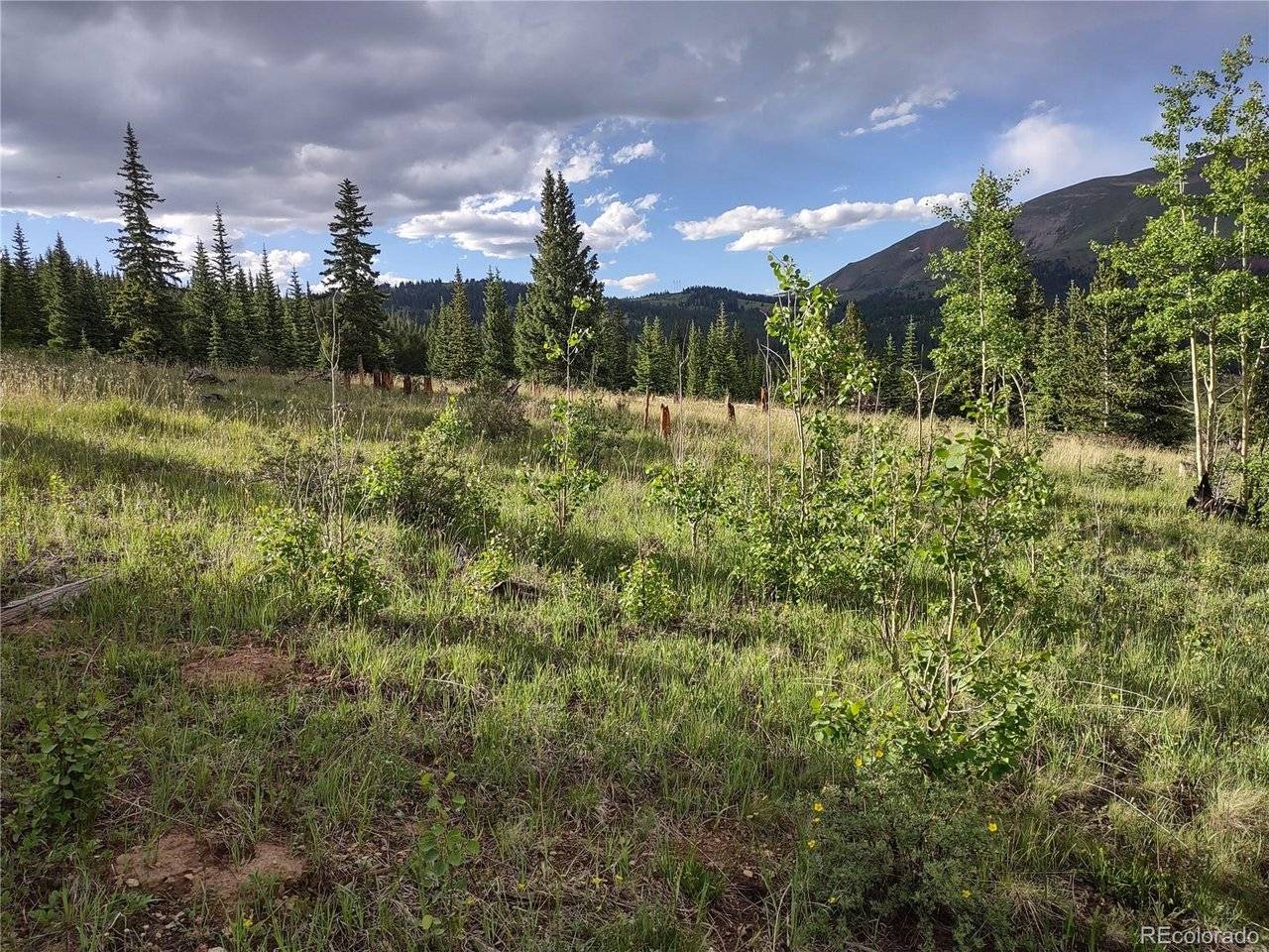 0 Snow Cap Peaks, Alma, CO 80402