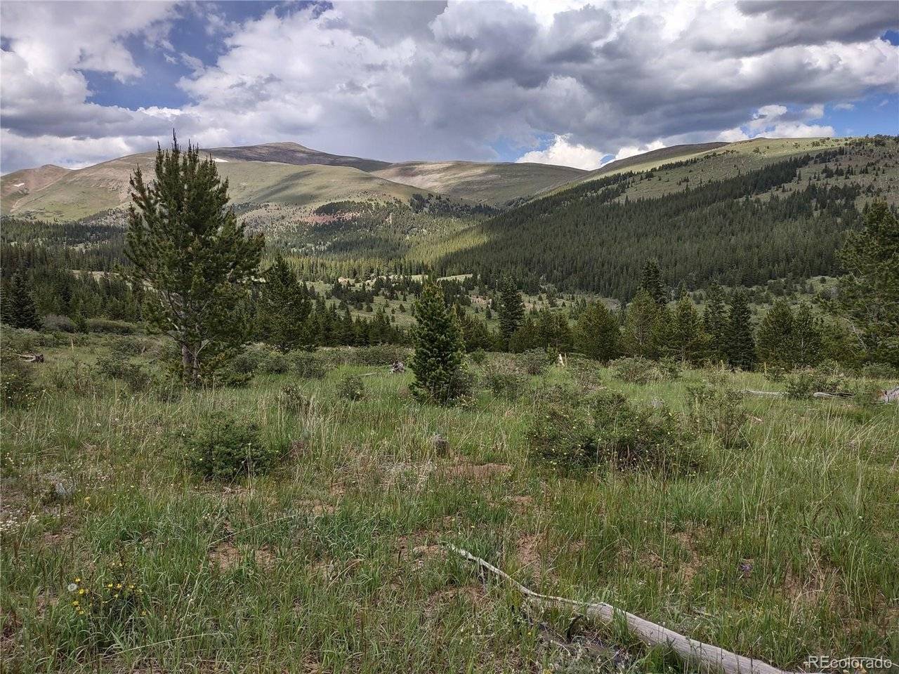 0 Snow Cap Peaks, Alma, CO 80402