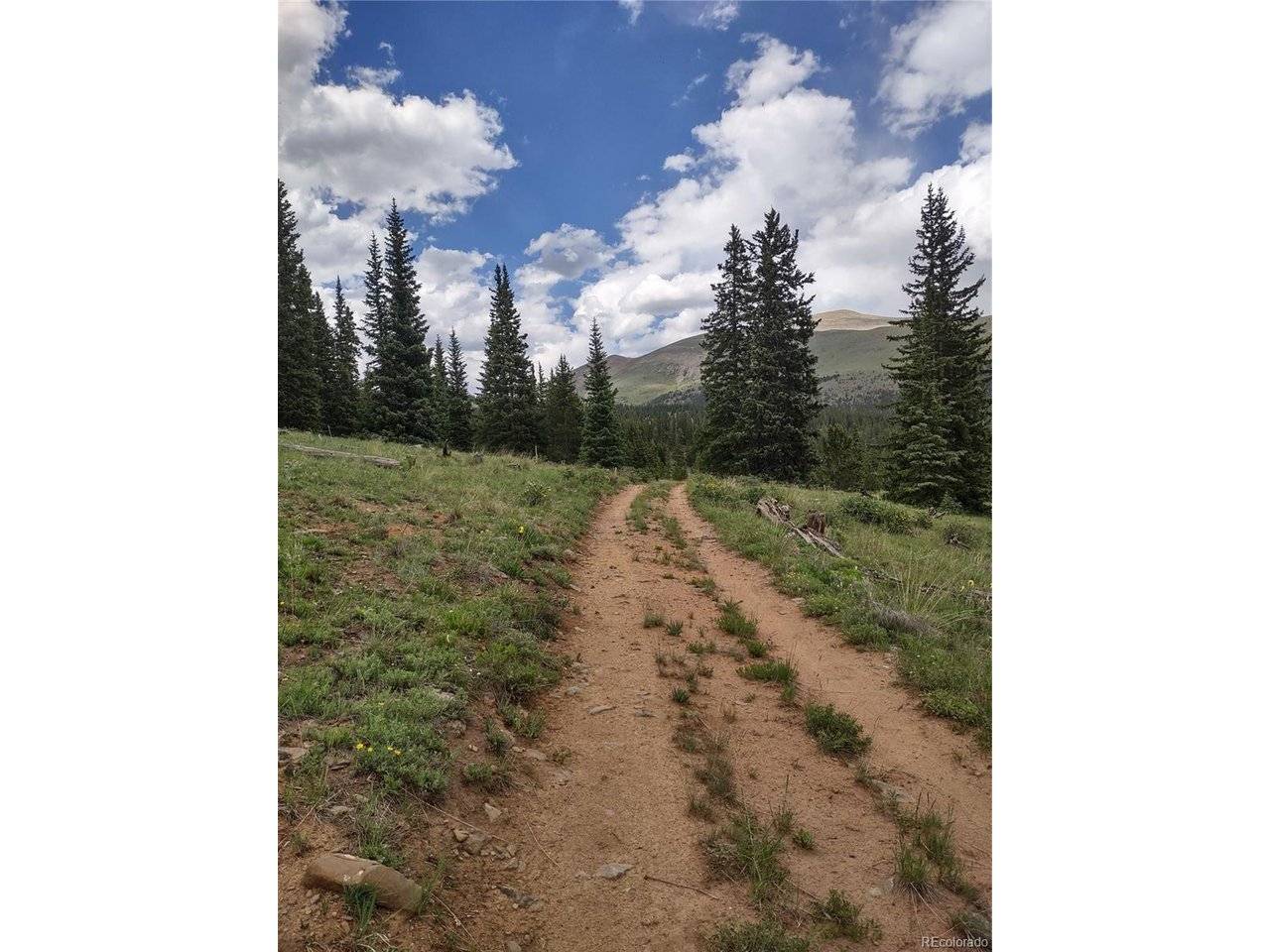 0 Snow Cap Peaks, Alma, CO 80402