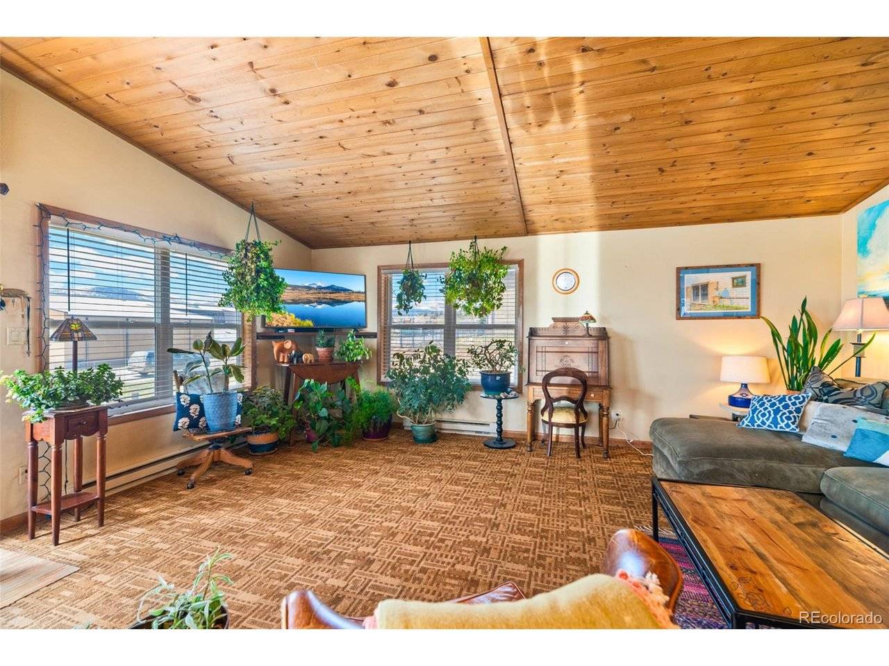 740 Castello, Fairplay, CO 80440
