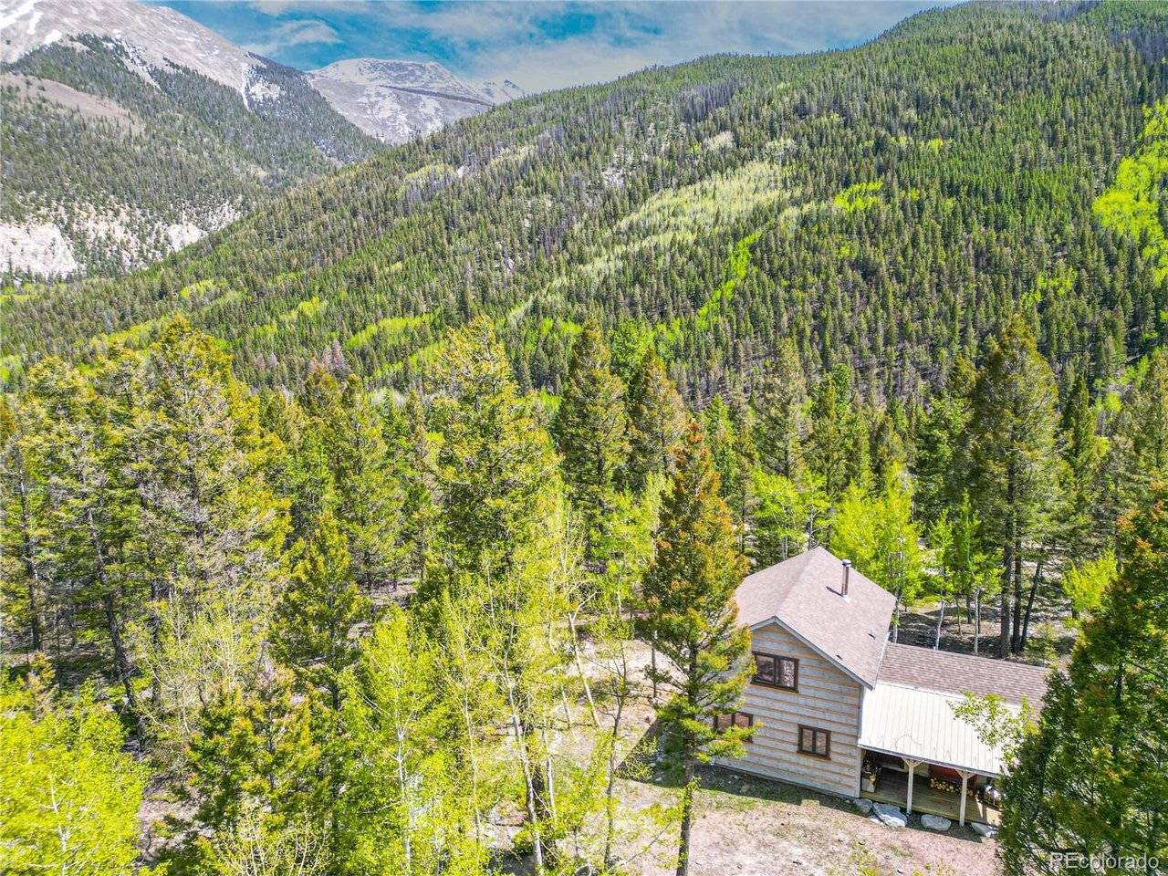 22590 County Road 292a, Nathrop, CO 81236