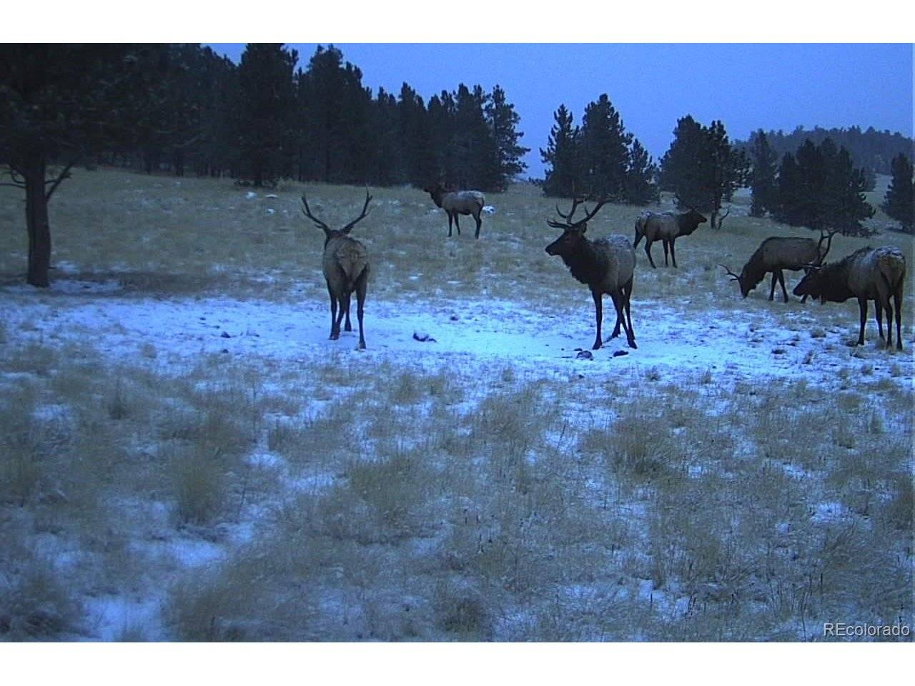 10801 County Road M-32, Del Norte, CO 81132