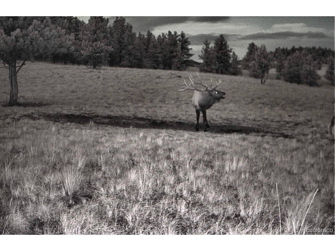 10801 County Road M-32, Del Norte, CO 81132