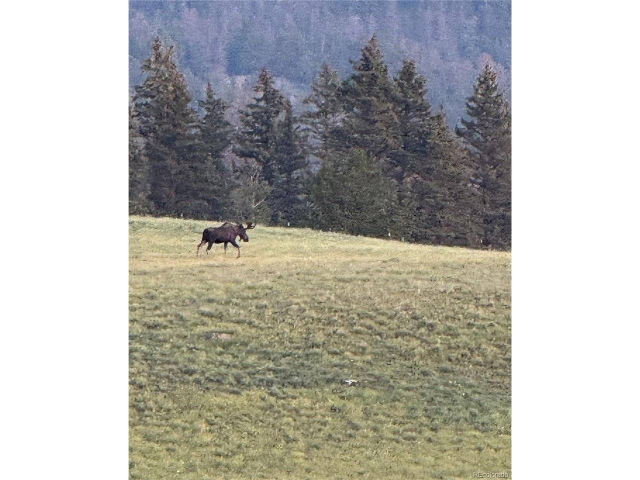 10801 County Road M-32, Del Norte, CO 81132