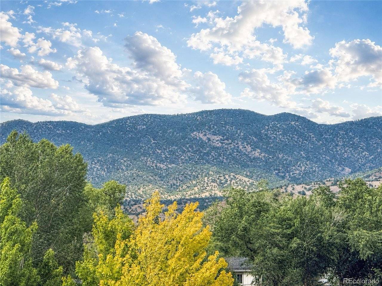102 M And M #8C, Salida, CO 81201