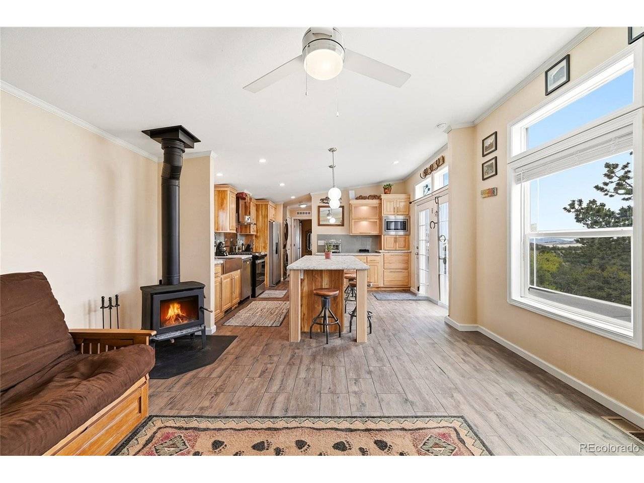 291 Bandolier, Hartsel, CO 80449