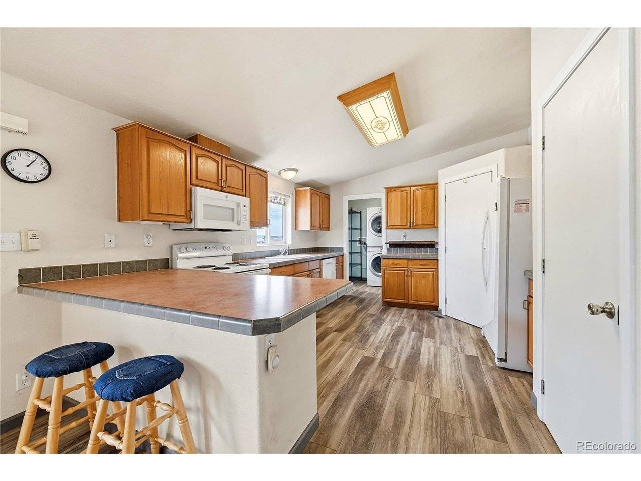 20300 Old Ranch, Nathrop, CO 81236