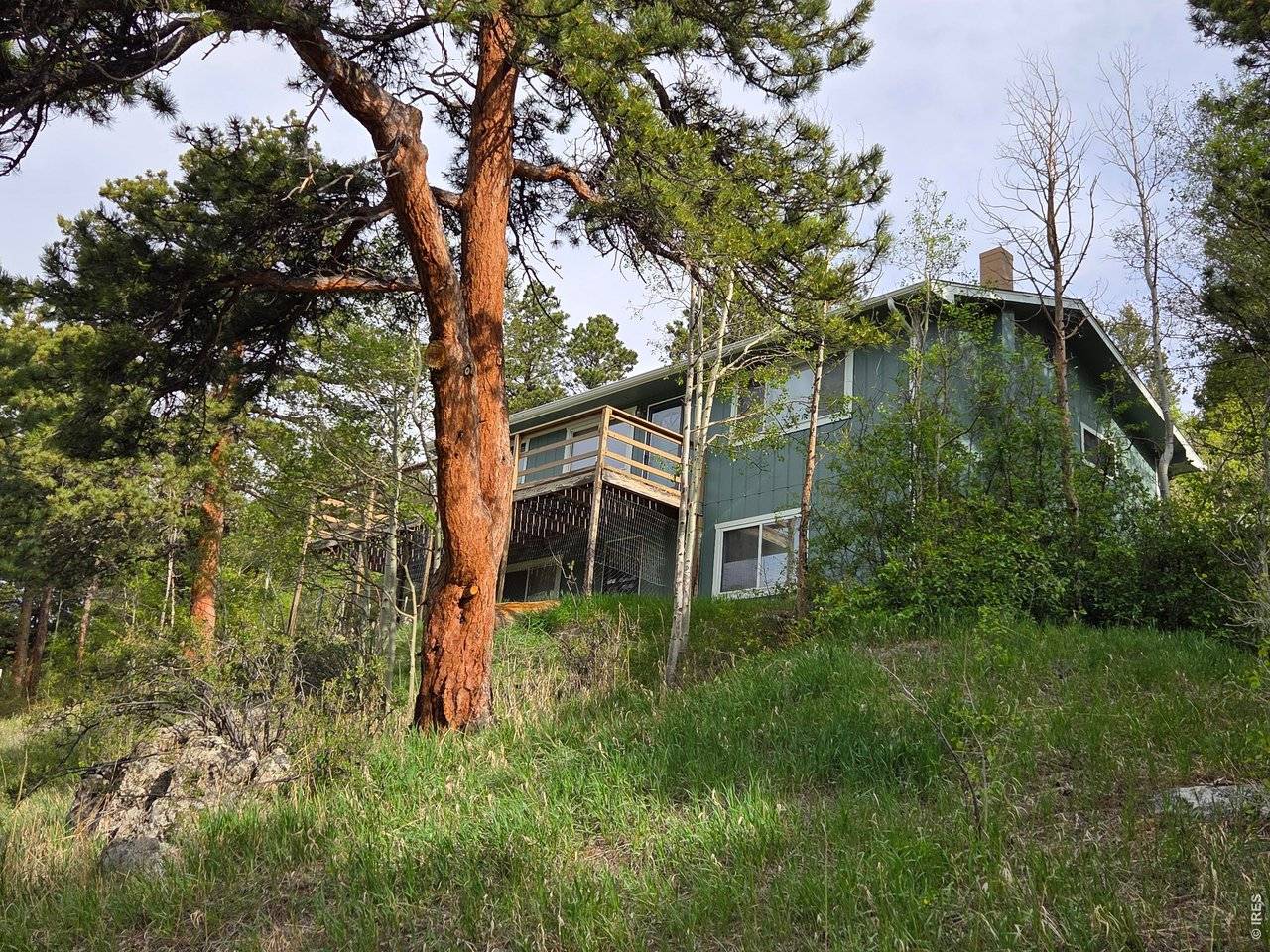 328 N Skinner, Allenspark, CO 80510