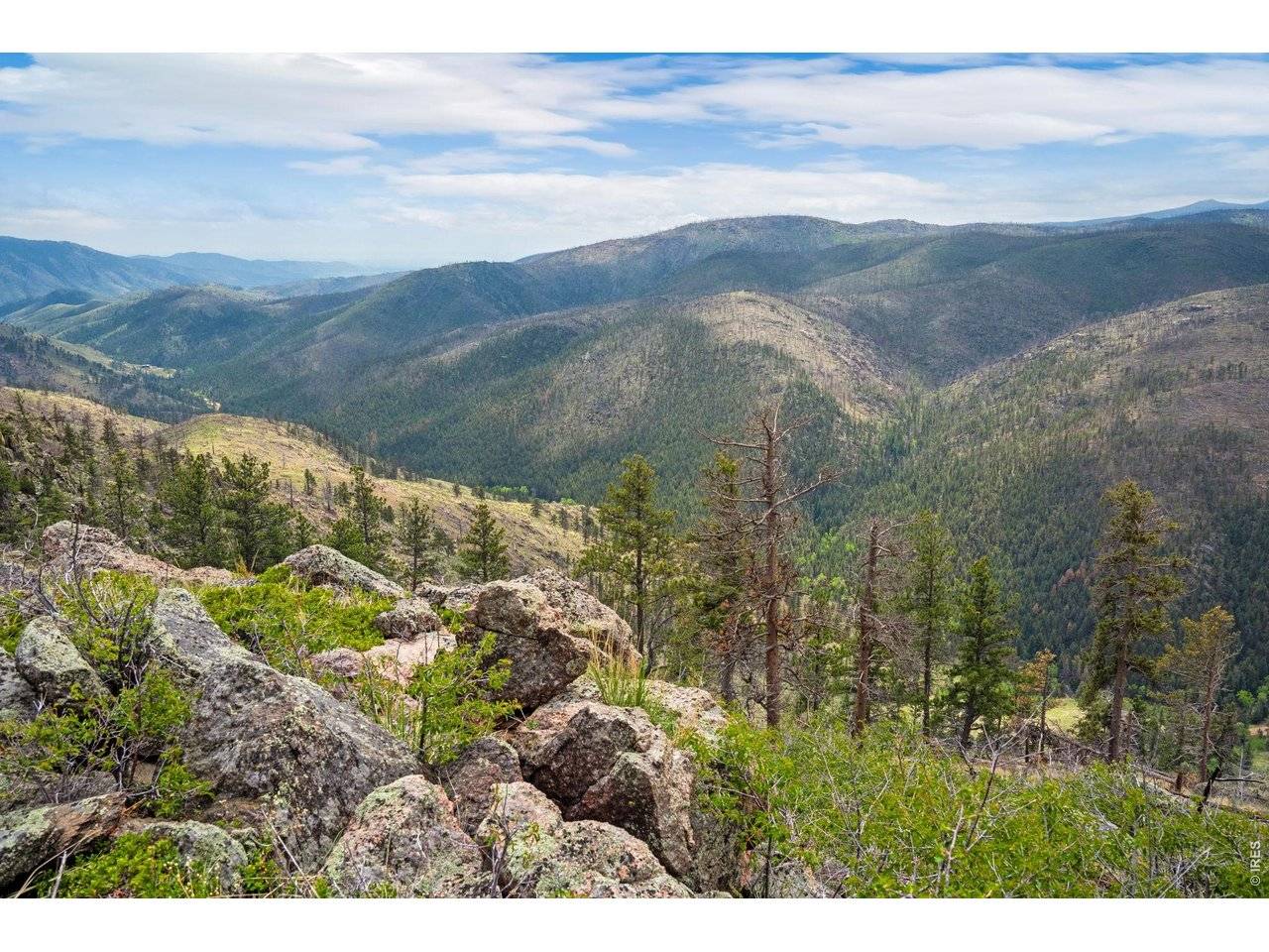 0 Spencer Mountain, Bellvue, CO 80512