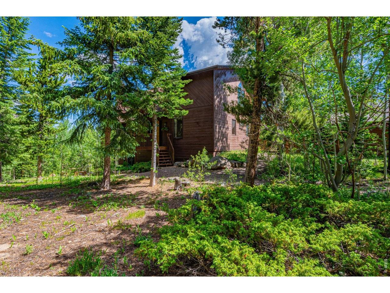 518 Meadow Mountain, Allenspark, CO 80510