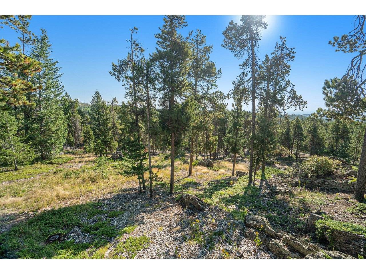 231 Granite, Drake, CO 80515