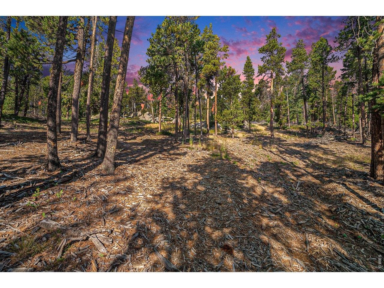 231 Granite, Drake, CO 80515