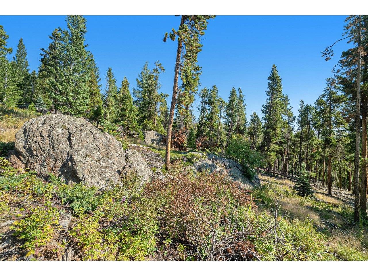 231 Granite, Drake, CO 80515