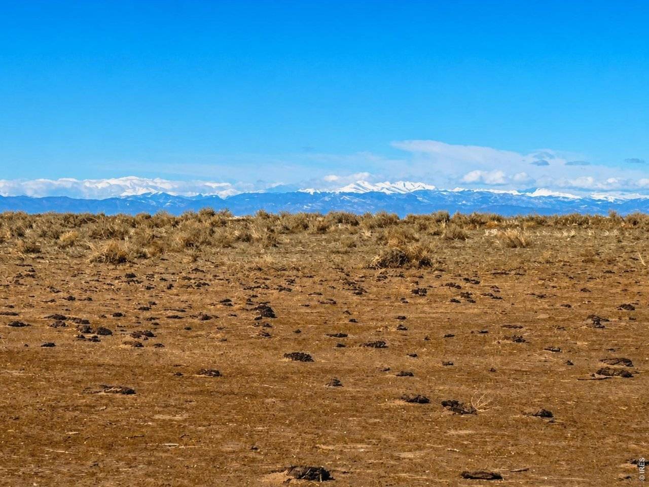 County Road 80, Briggsdale, CO 80611