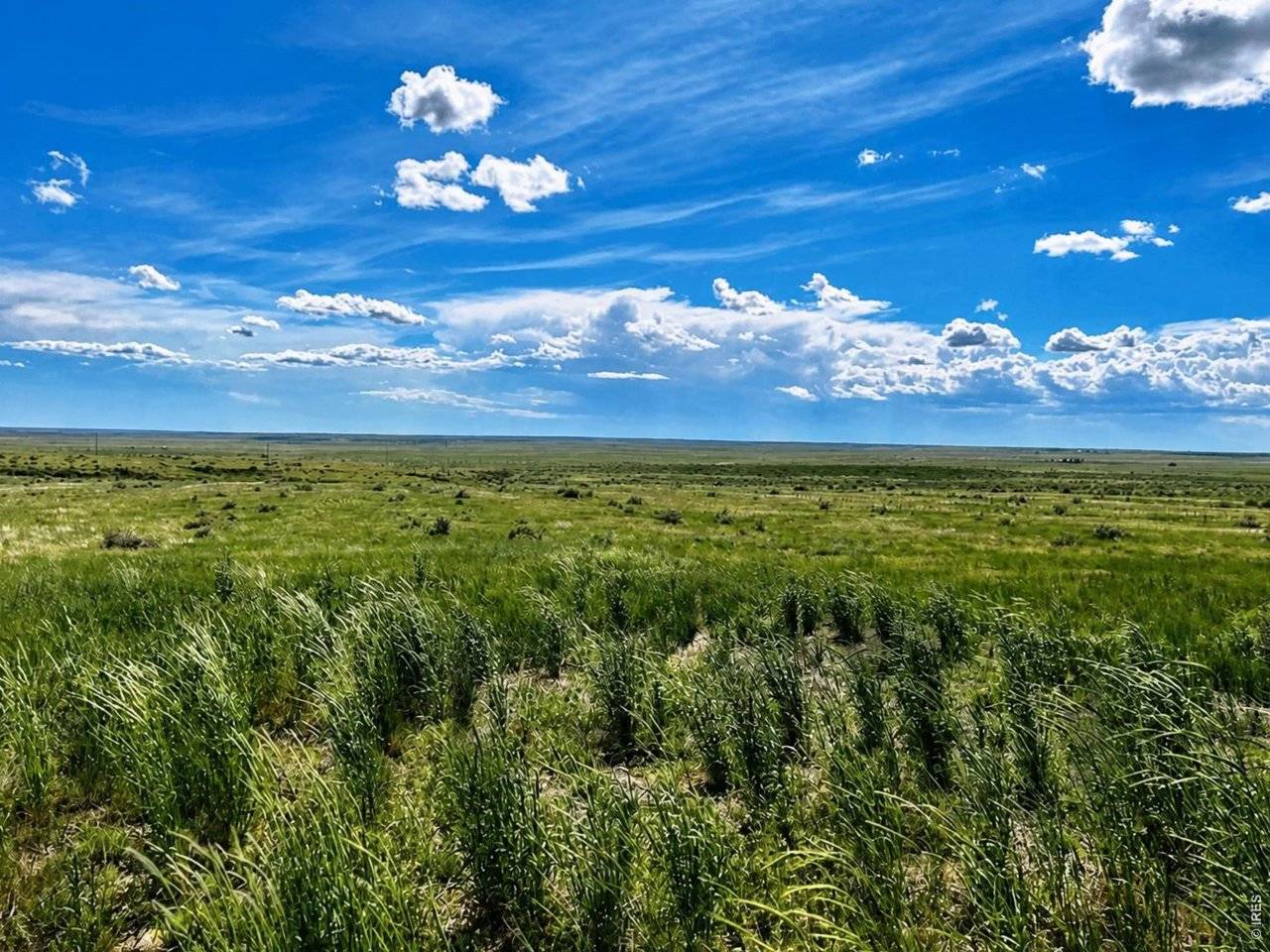 County Road 80, Briggsdale, CO 80611