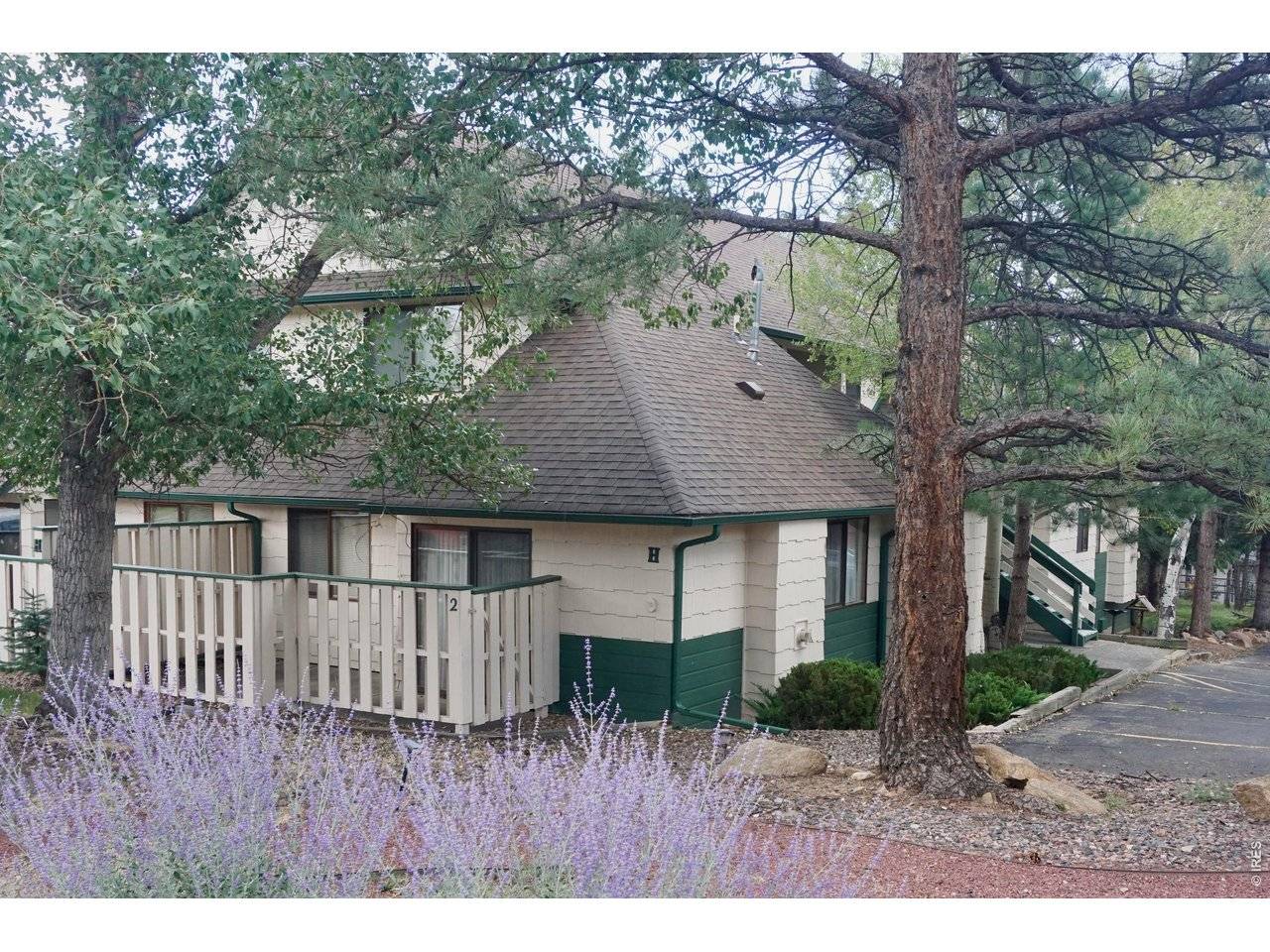 1010 S Saint Vrain #H2, Estes Park, CO 80517
