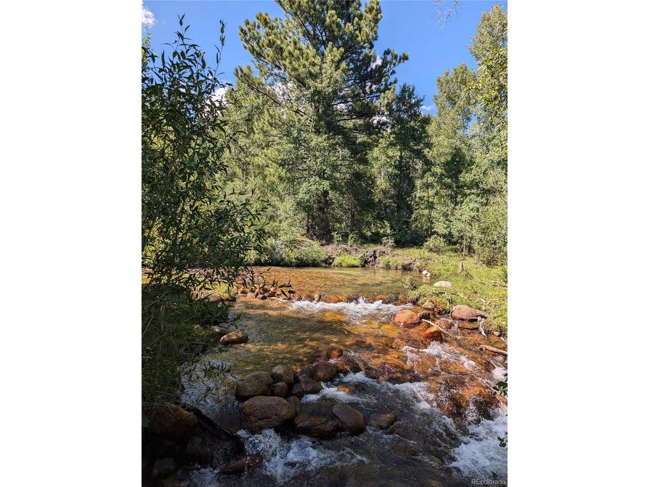 13288 County Road 261p, Nathrop, CO 81236