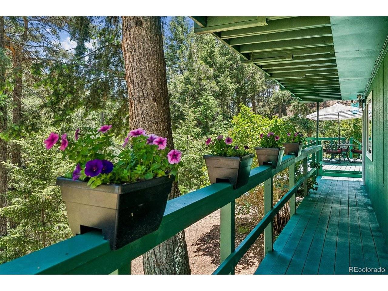 1833 Hidden Valley, Sedalia, CO 80135