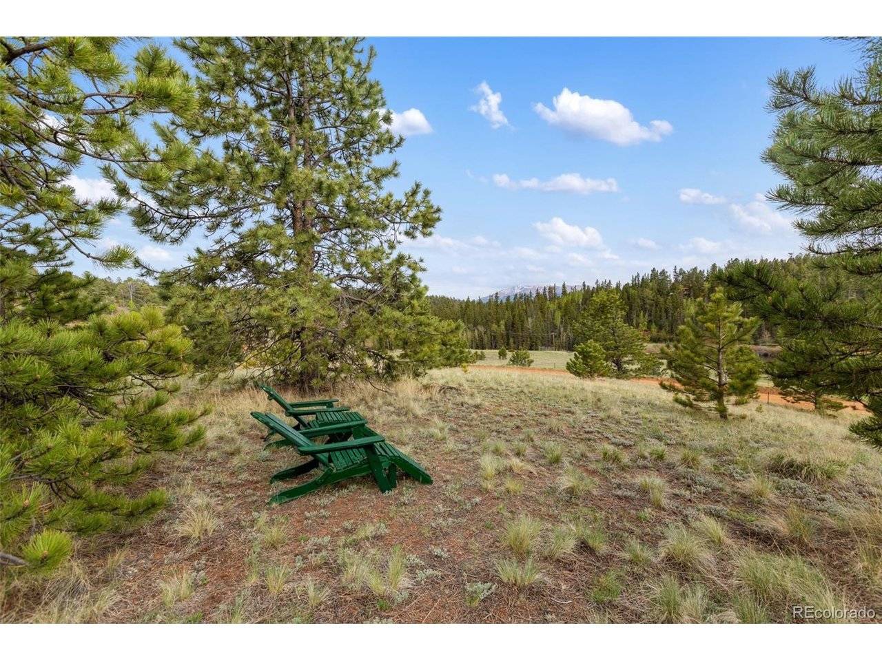 996 Spring Valley, Divide, CO 80814