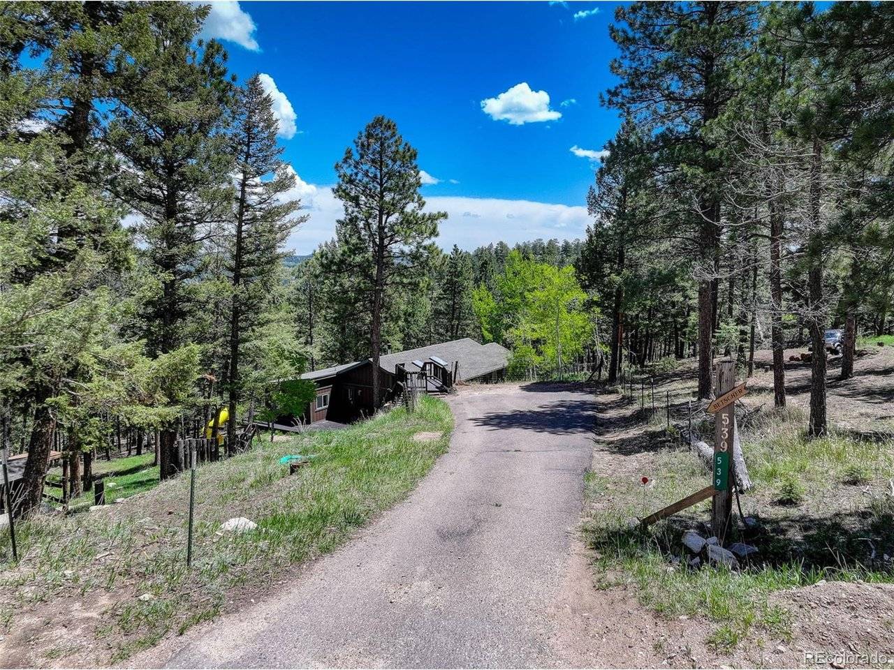 539 S Random, Bailey, CO 80421