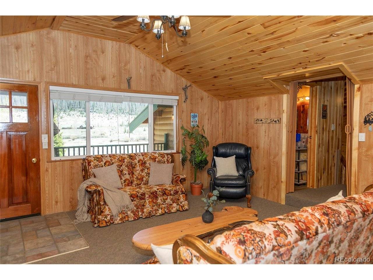 4100 Usfs Rd 515 #460, Creede, CO 81130