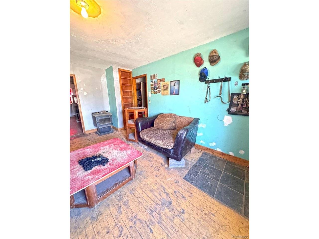 209 Antrodemus, Dinosaur, CO 81610