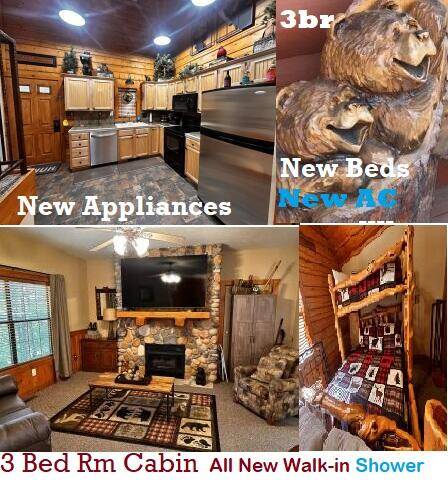 264 Oak Ridge RD, Branson, MO 65616