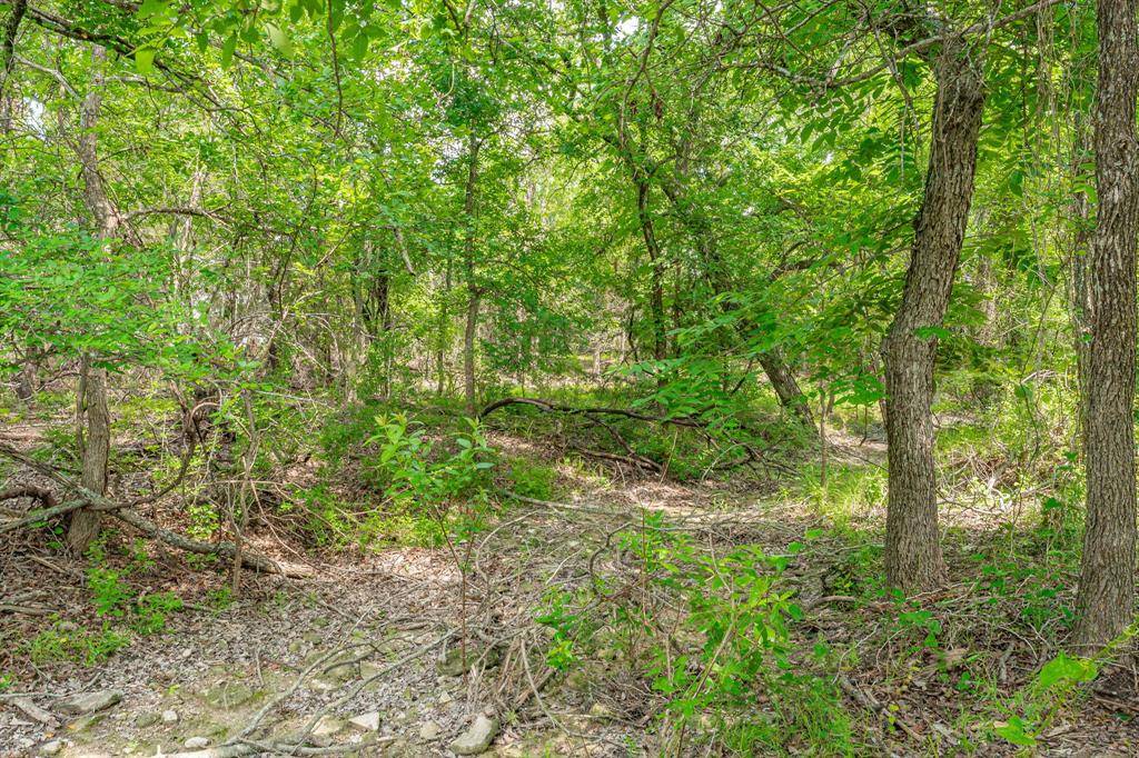 2401 County Road 382, Carlton, TX 76436