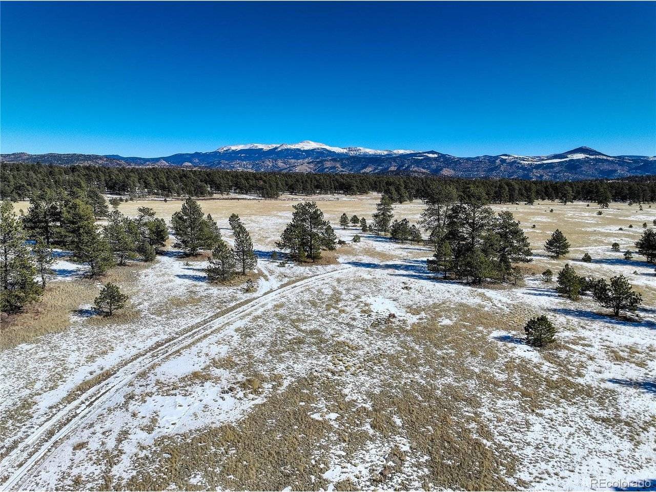 101 Ring, Guffey, CO 80820