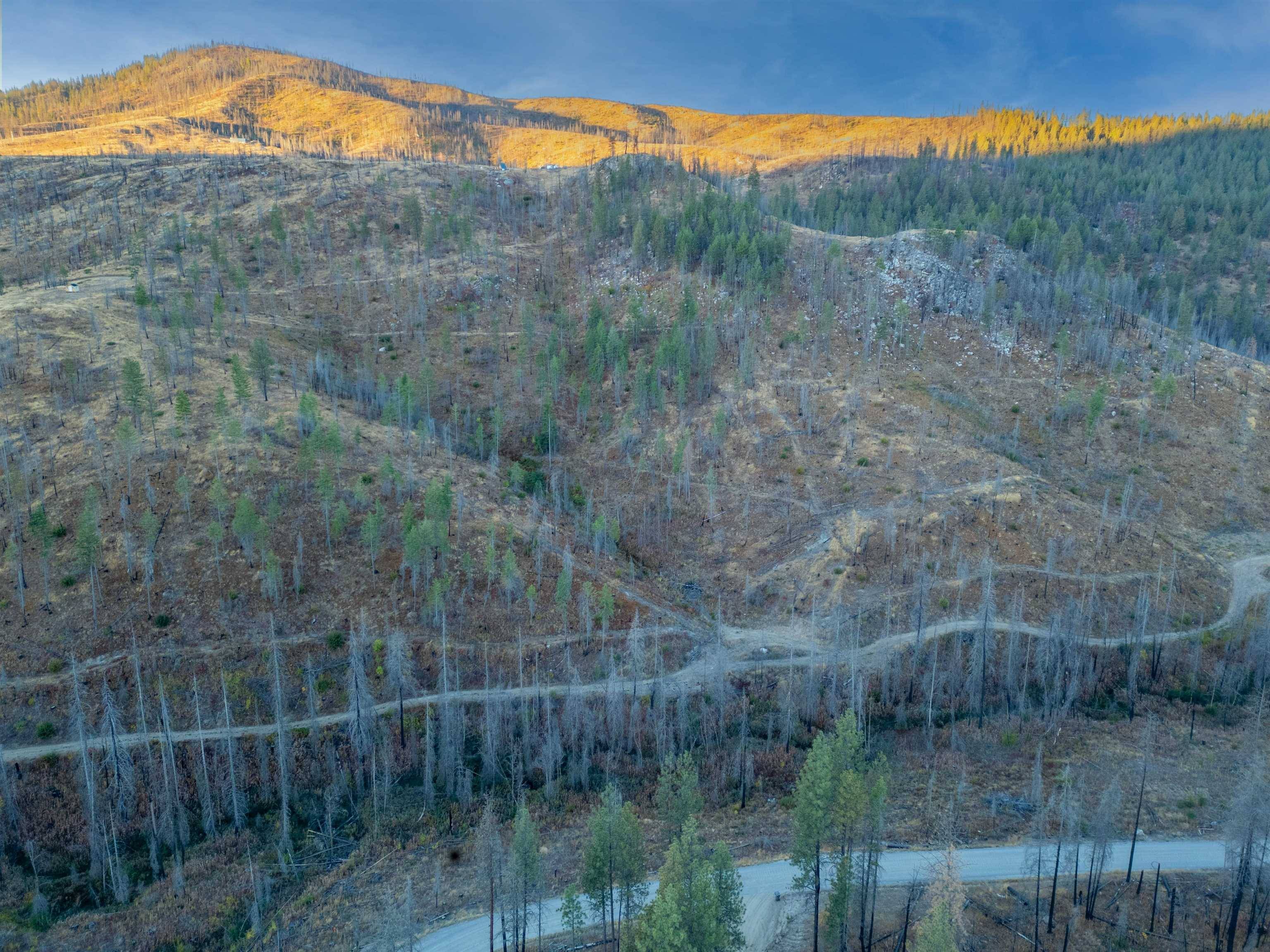Lot 12 Rail Canyon Rd, Springdale, WA 99173