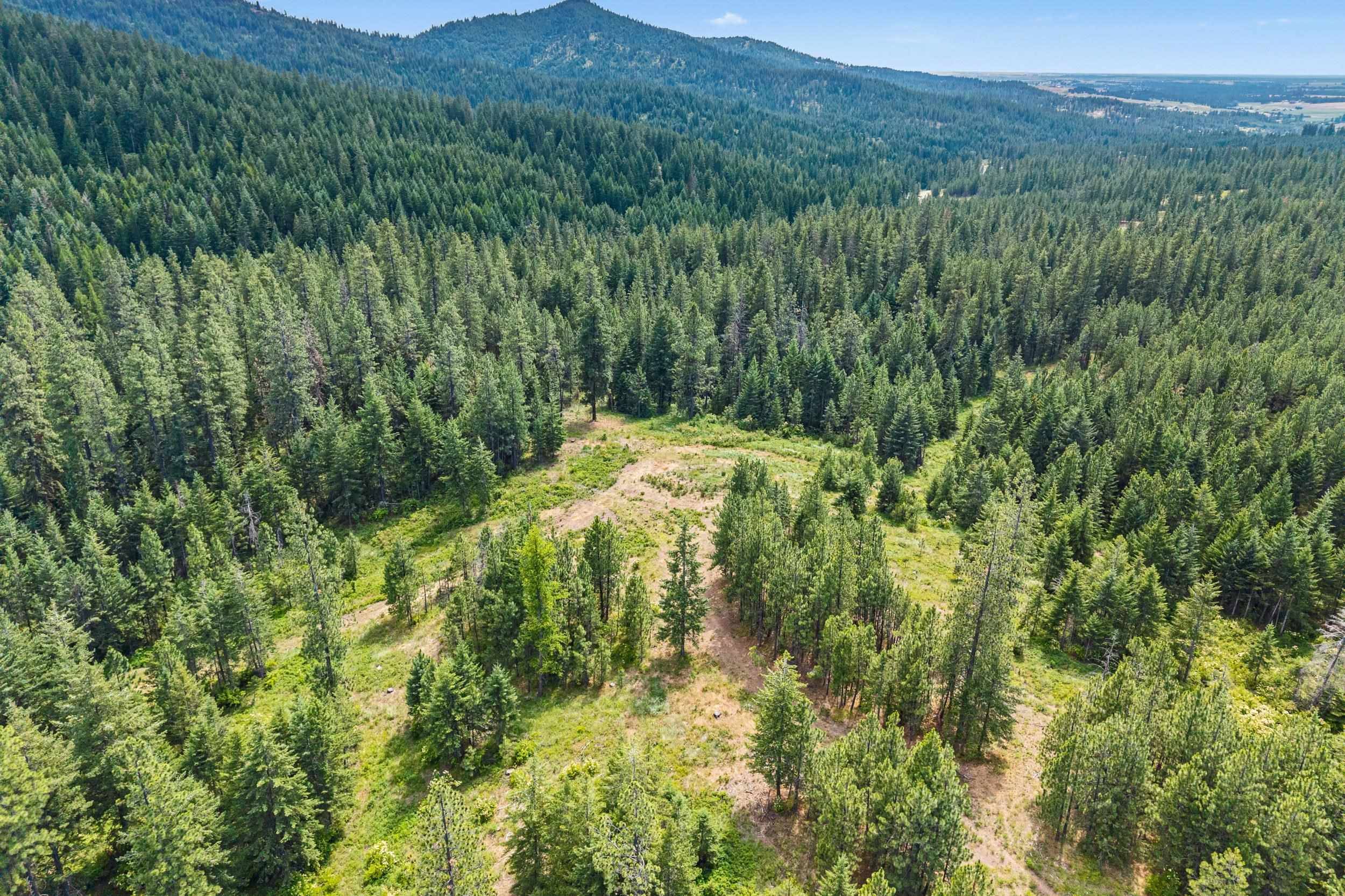 NKA E Belmont Rd, Mica, WA 99023