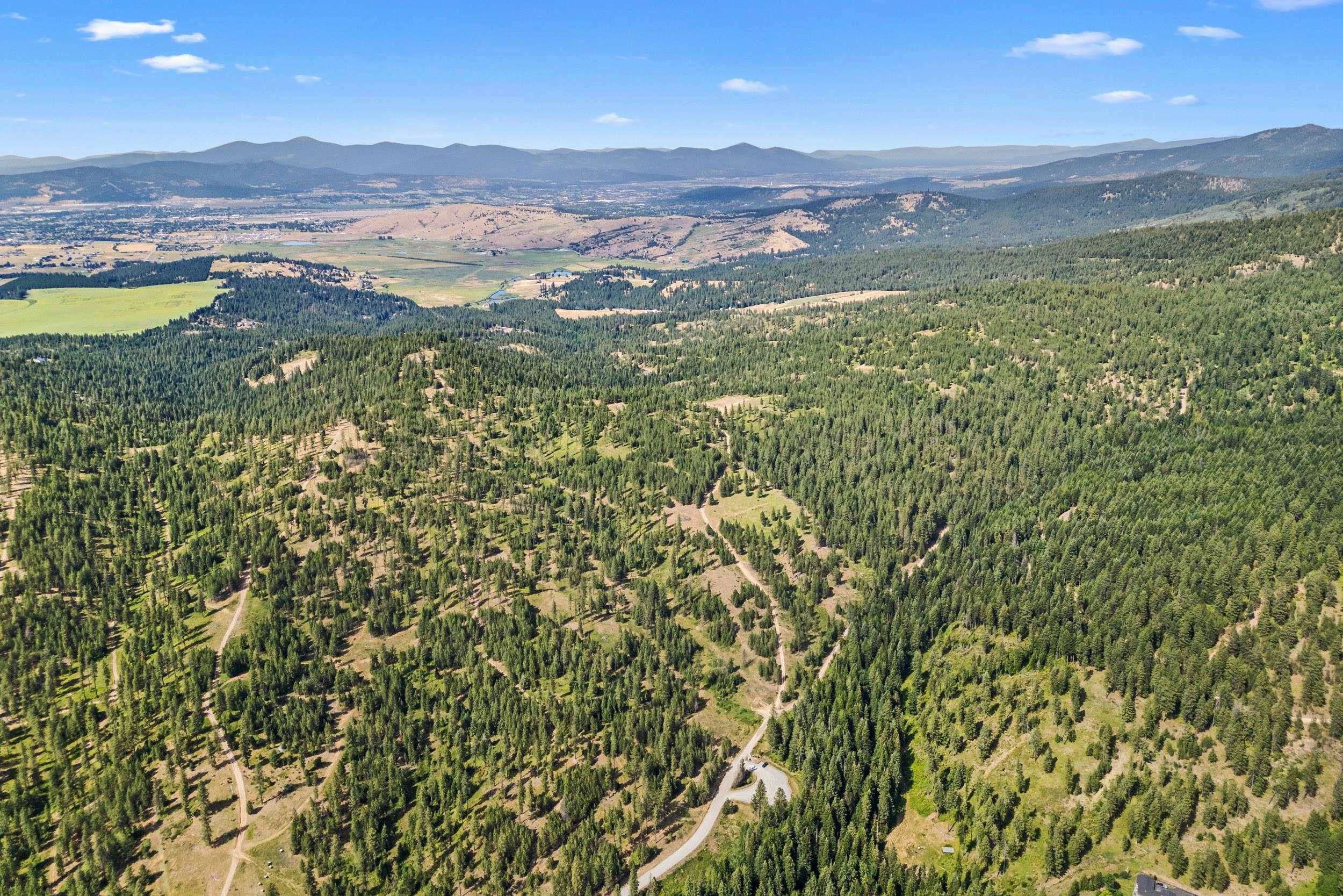 NKA E Belmont Rd, Mica, WA 99023