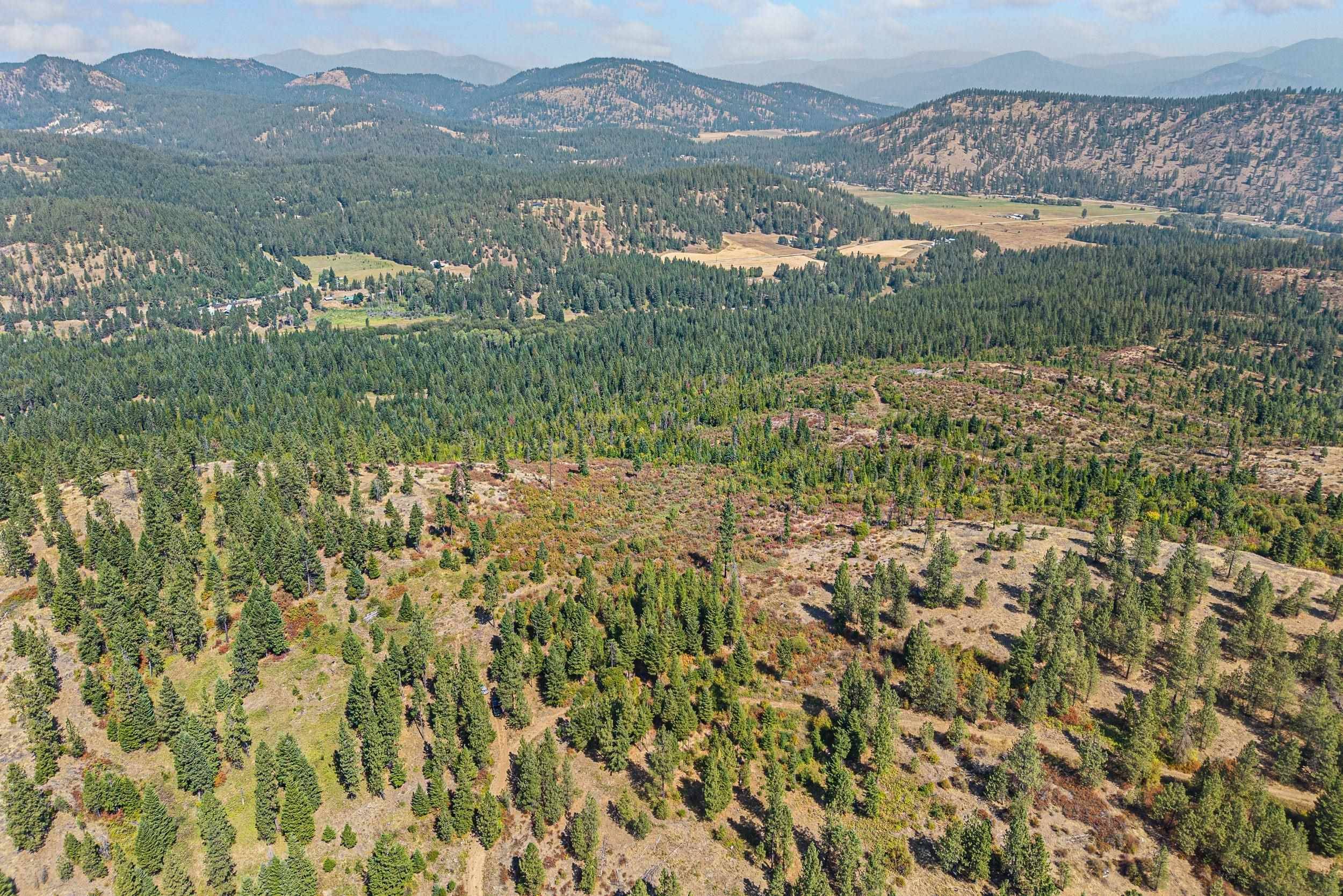 NKA Hoag Rd, Valley, WA 99181