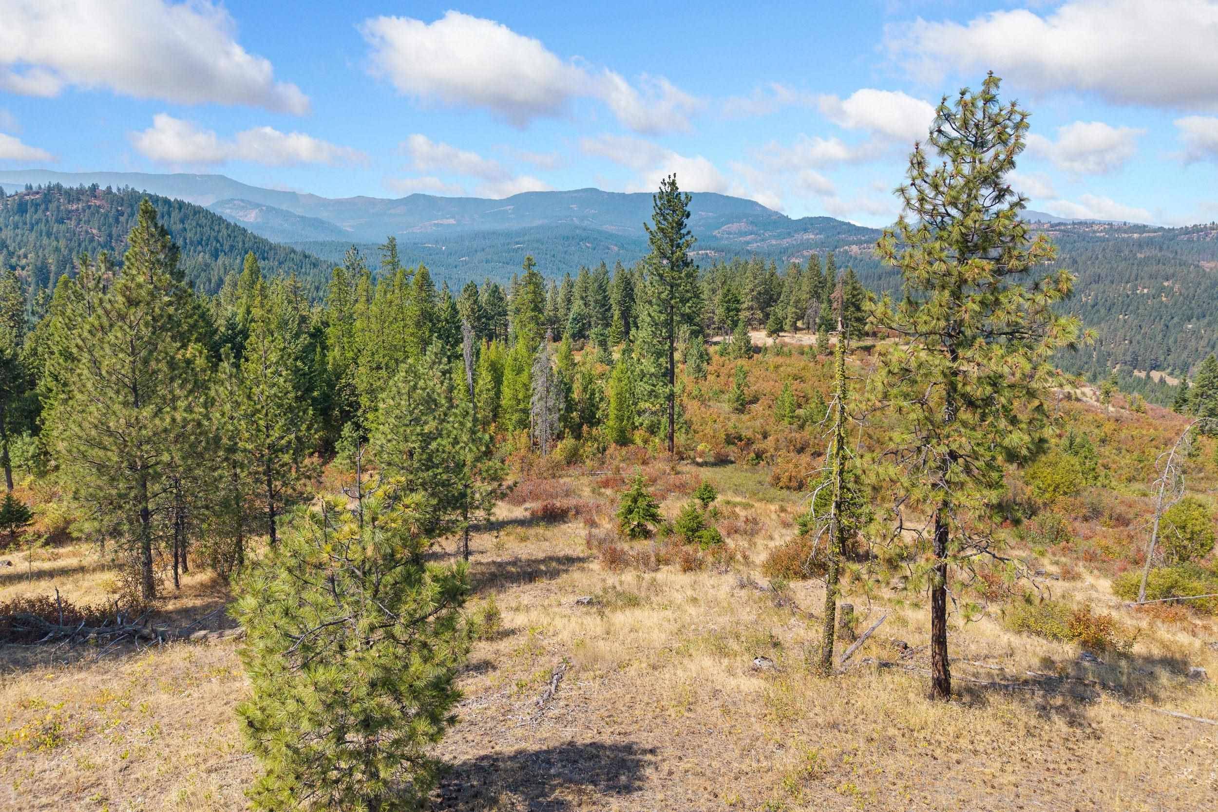 NKA Hoag Rd, Valley, WA 99181