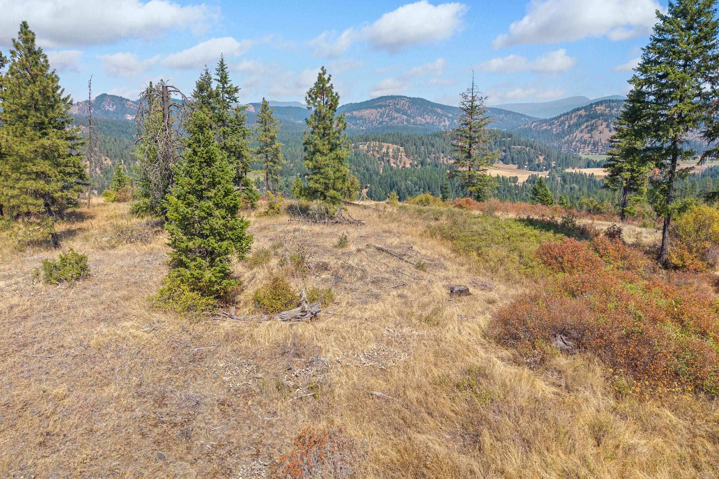 NKA Hoag Rd, Valley, WA 99181