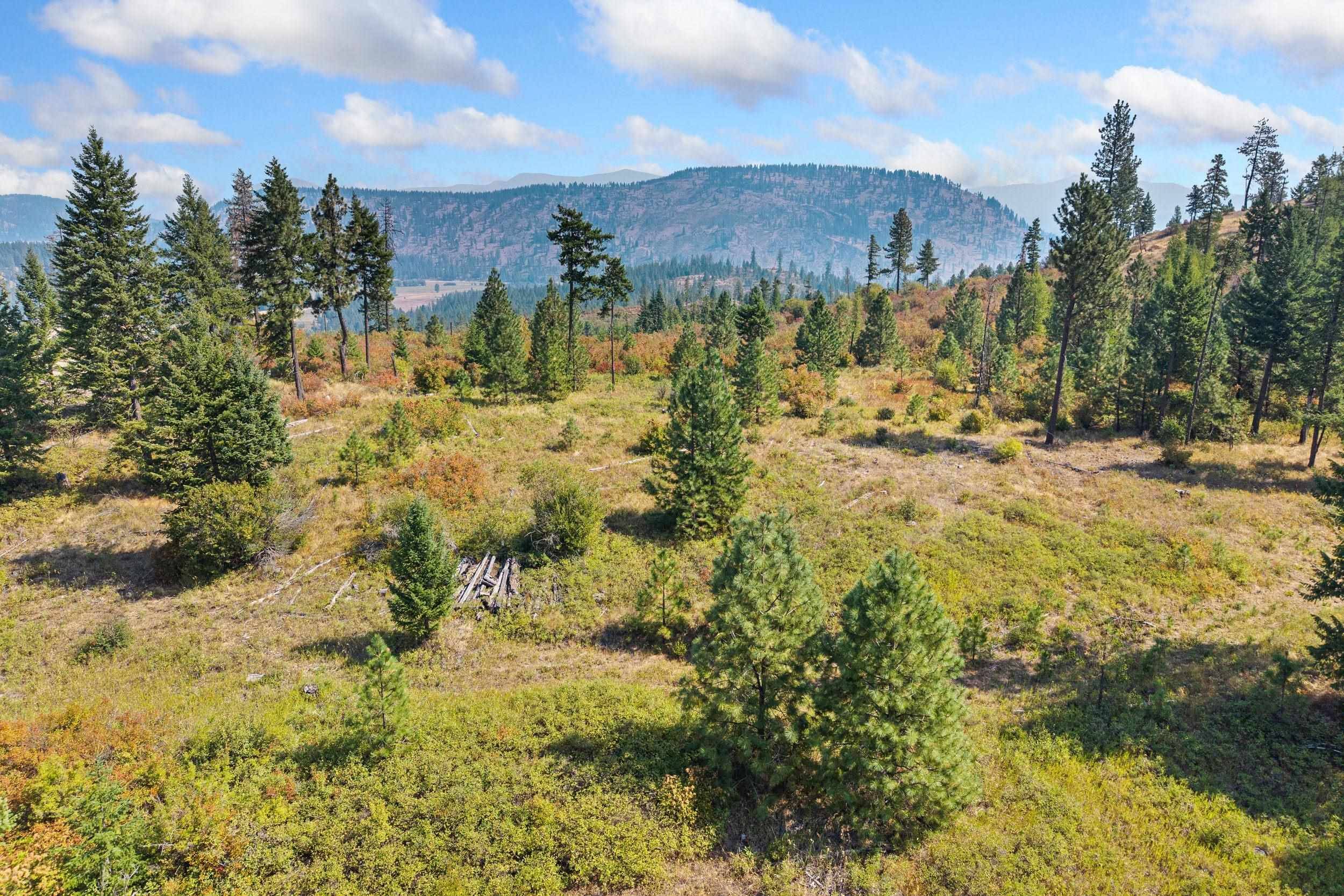 NKA Hoag Rd, Valley, WA 99181