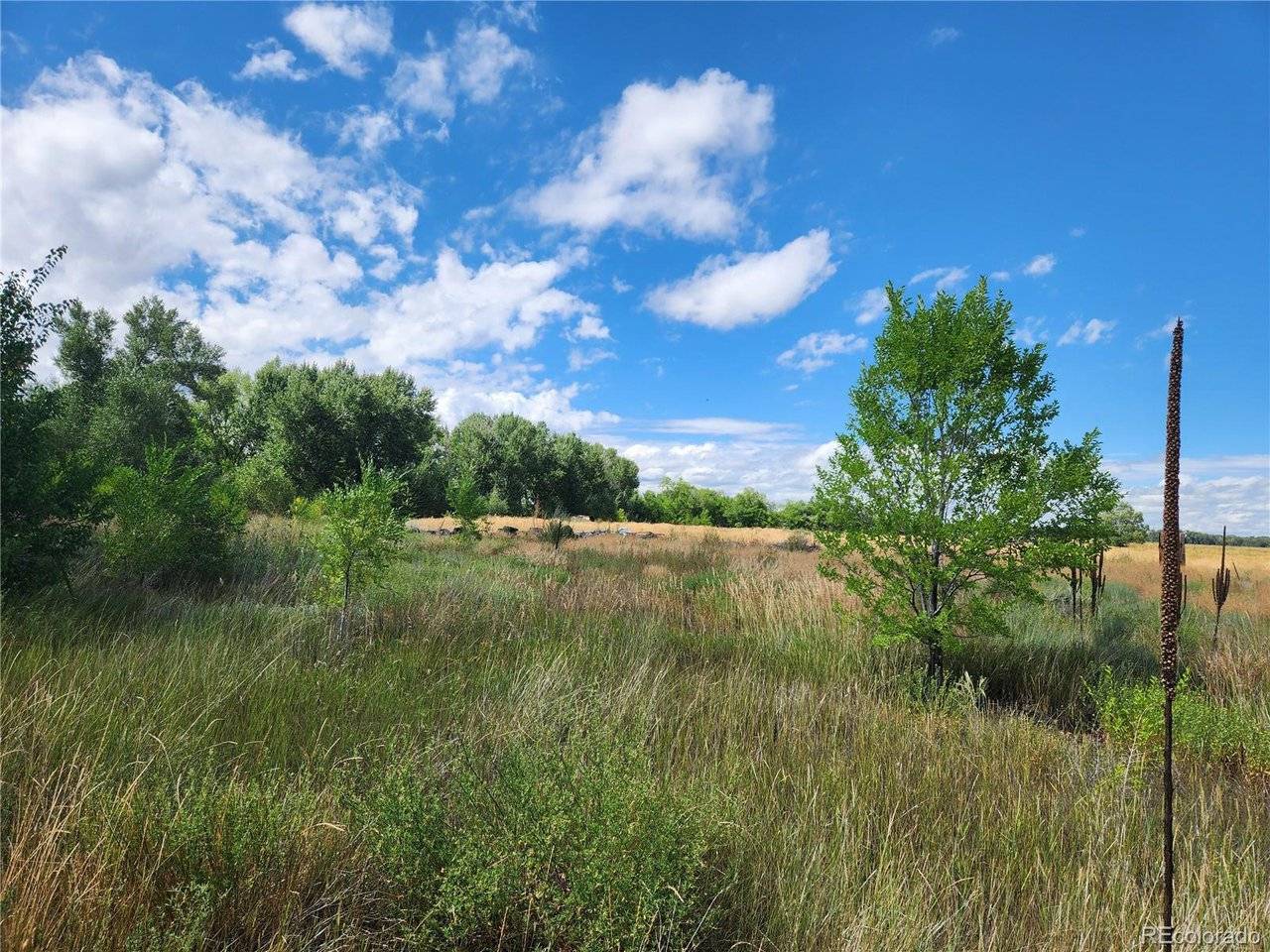 0 State, Antonito, CO 81120