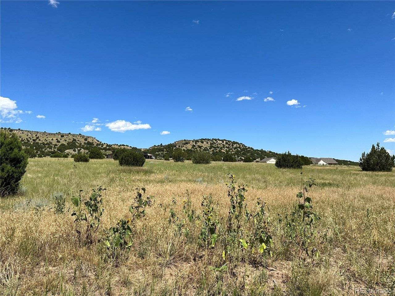 34 Hart Ranch, Beulah, CO 81023