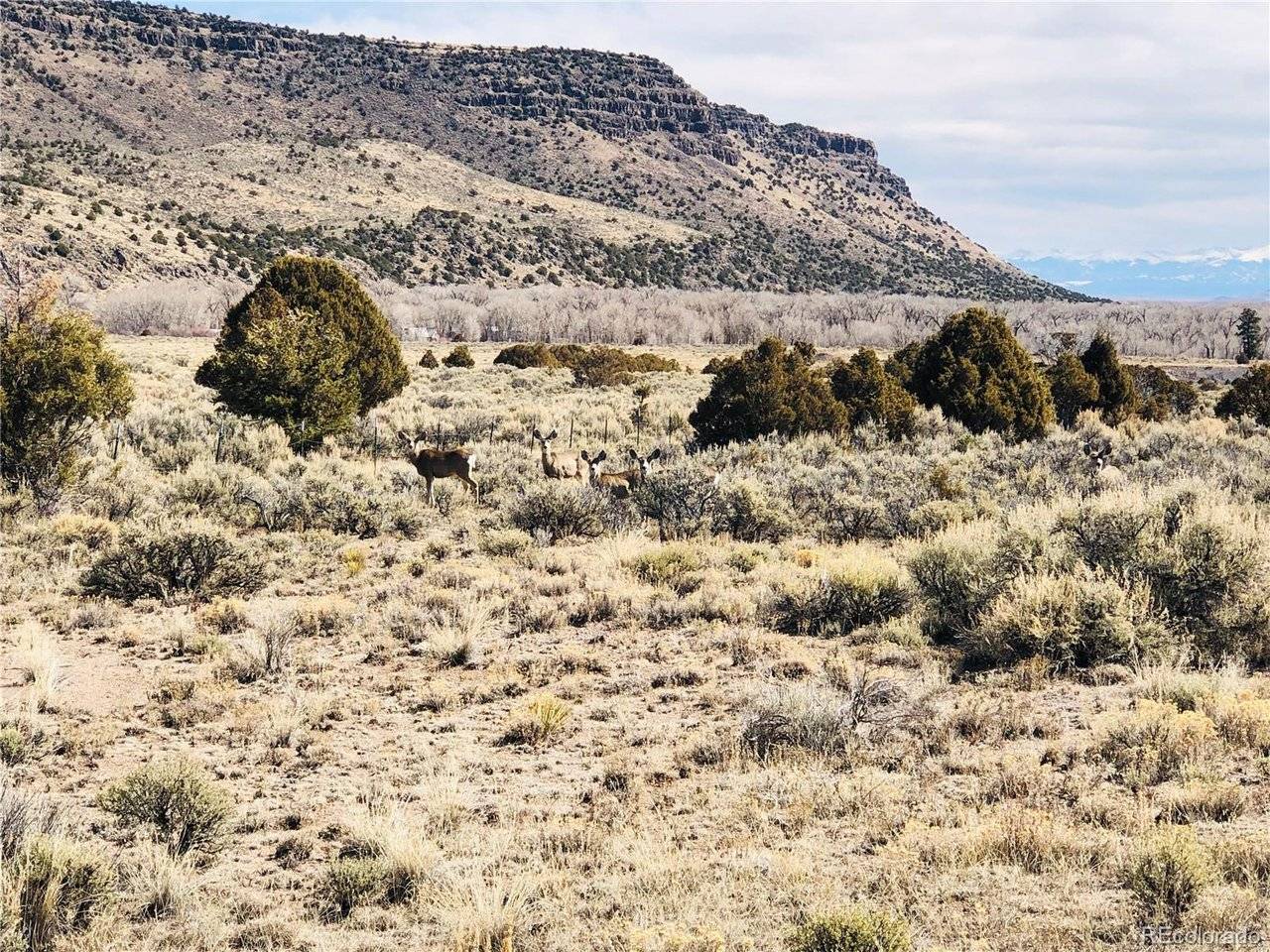 Lot 17 Conejos Trails, Antonito, CO 81120