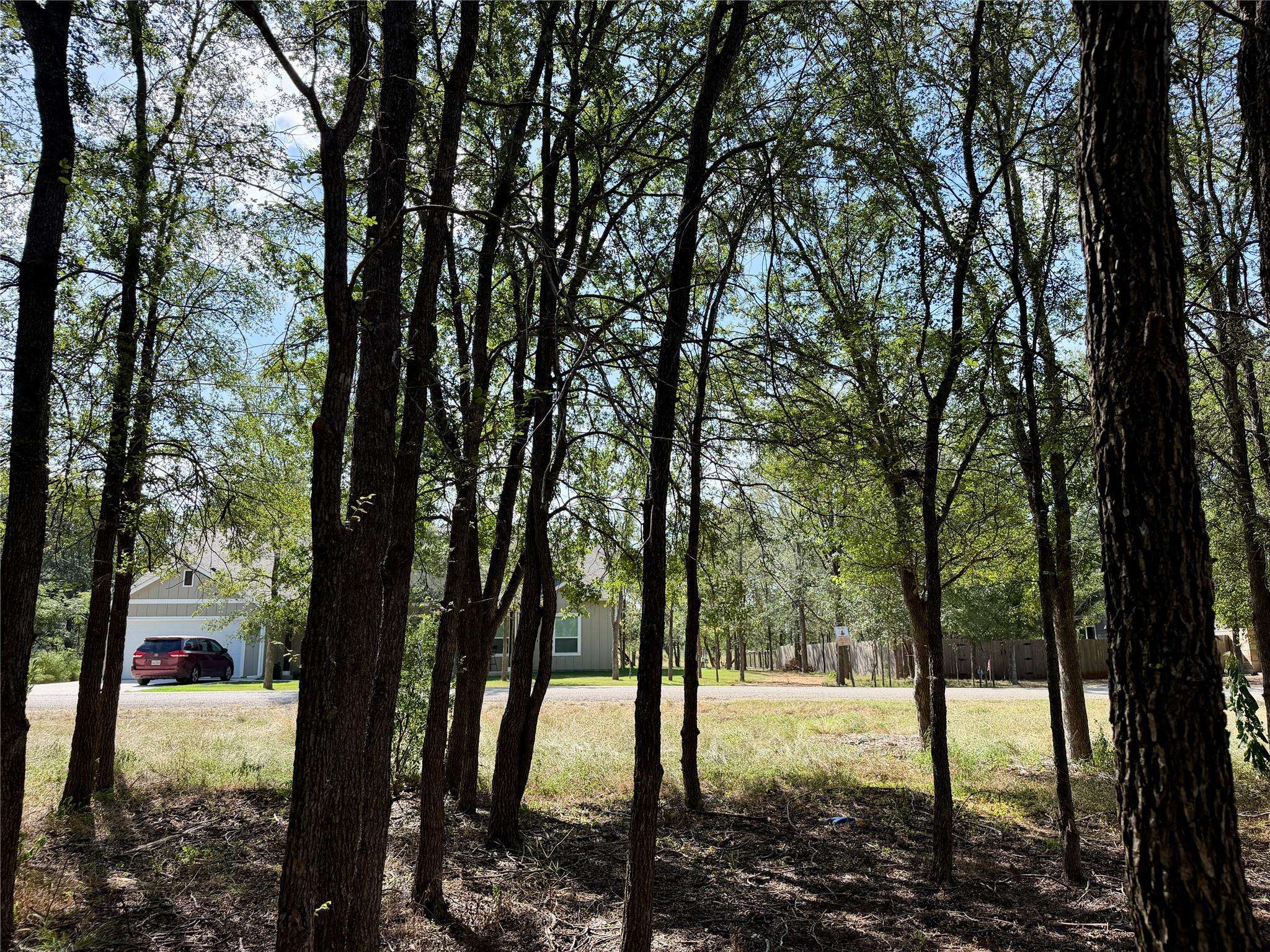 208 Waipahoehoe DR, Bastrop, TX 78602