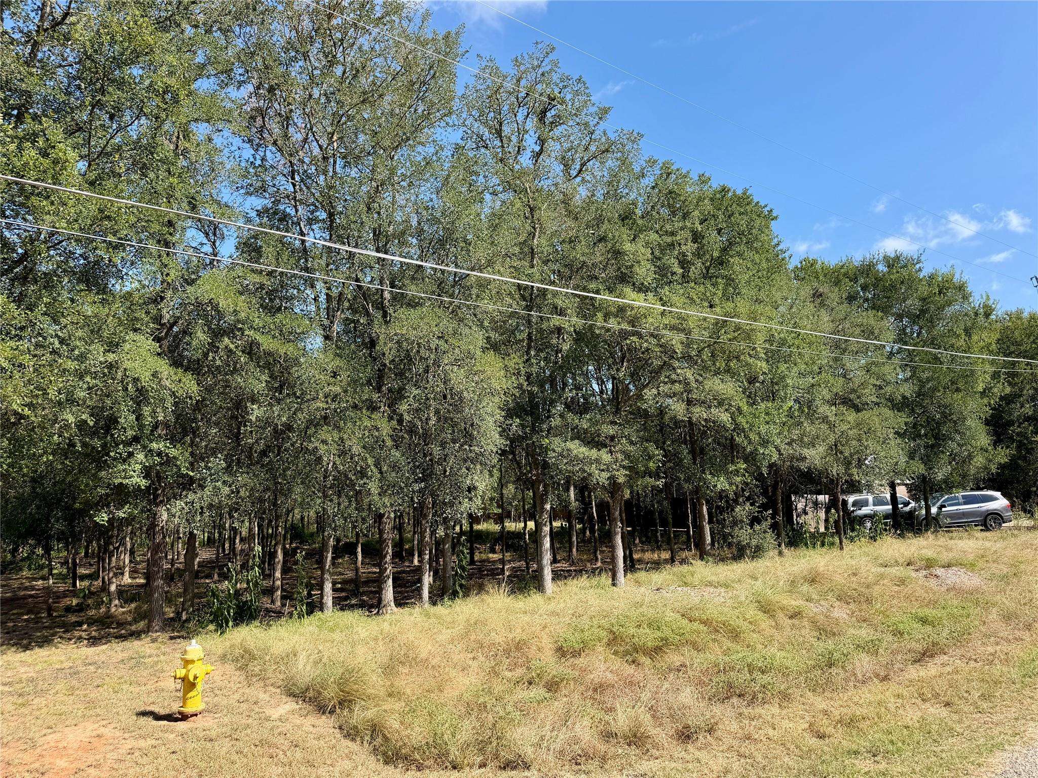 208 Waipahoehoe DR, Bastrop, TX 78602