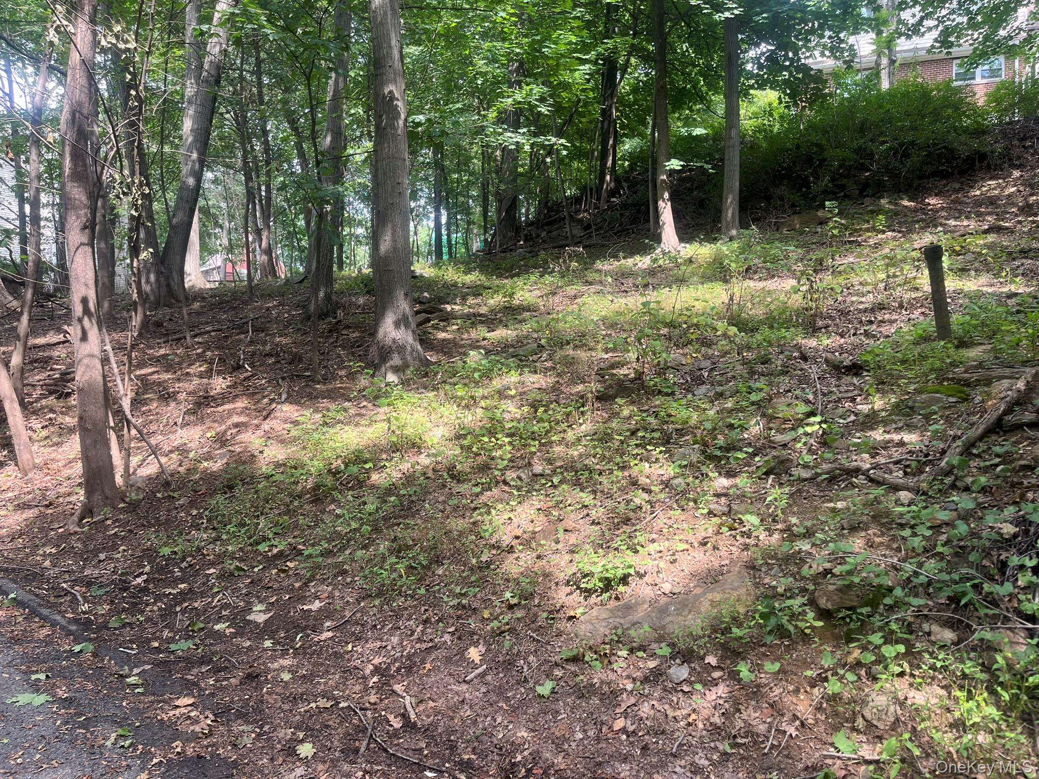 0 Springwood AVE, Ardsley, NY 10502