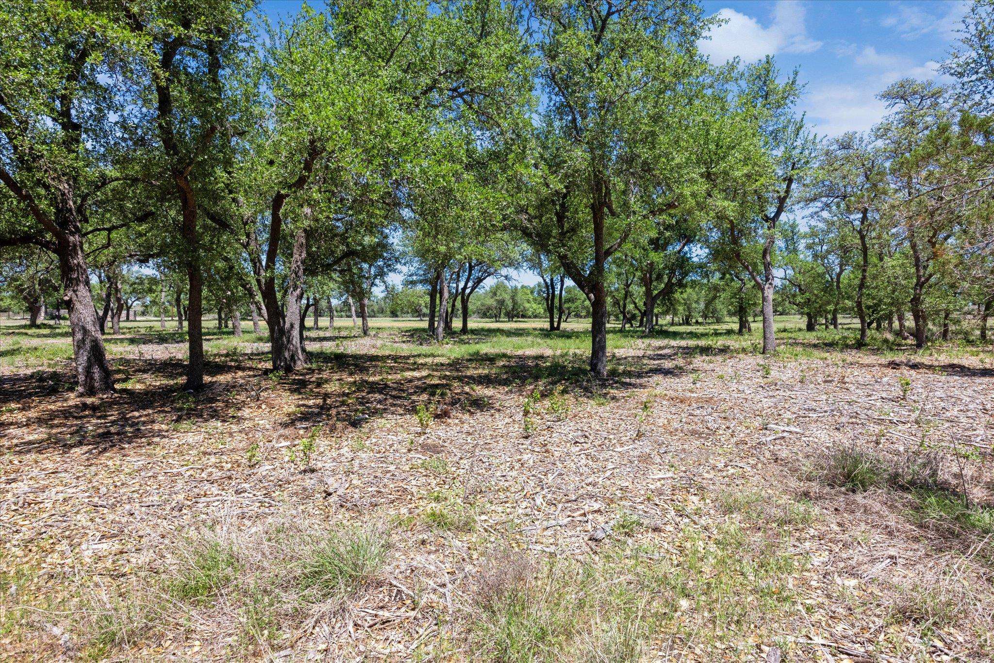 201 Medlin Creek LOOP, Dripping Springs, TX 78620